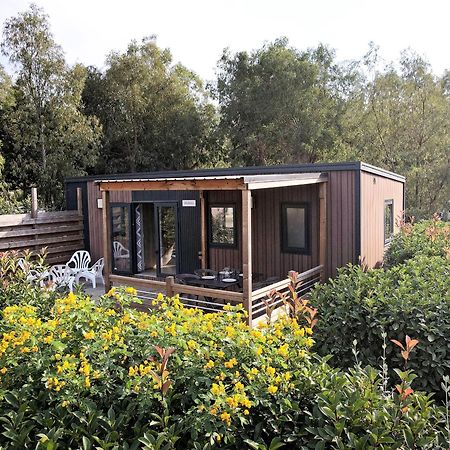 Camping Les Castors Calvi  Dış mekan fotoğraf