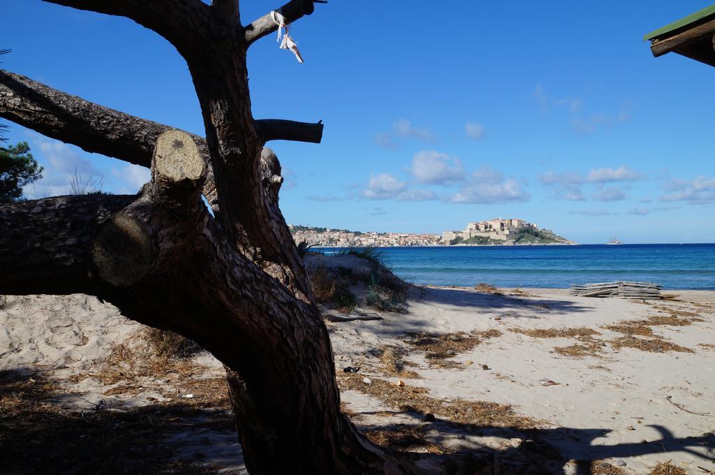 Camping Les Castors Calvi  Dış mekan fotoğraf