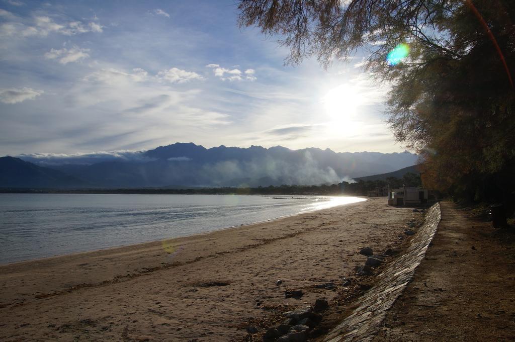 Camping Les Castors Calvi  Dış mekan fotoğraf