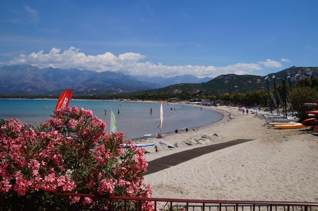 Camping Les Castors Calvi  Dış mekan fotoğraf